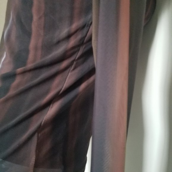 Rachel Zoe Sheer Top with Black Undershirt attached - Picture 6 of 9